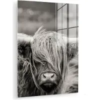 MuchoWow - Glasschilderij - Foto op glas - Dieren - Schotse hooglander - Koe - Zwart - Wit - Acrylglas - Muurdecoratie glas - 120x160 cm - Glasschilderij Schotse hooglander - Glasschilderij zwart wit