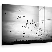 MuchoWow Glasschilderij - Foto op glas - Acrylglas - Vogel - Wolken - Zwart - Wit - Woonkamer - Muurdecoratie - 120x80 cm - Wanddecoratie dieren - Woondecoratie