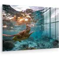 MuchoWow Glasschilderij 180x120 cm - Schilderij acrylglas - Zee - Schildpad - Kleuren - Foto op glas - Muurdecoratie woonkamer - Wanddecoratie slaapkamer - Schilderijen