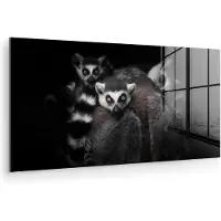 MuchoWow Glasschilderij - Foto op glas - Acrylglas - Maki - Dieren - Wild - Zwart wit - 40x20 cm - Schilderij glas - Woonkamer - Glasschilderij aap - Glasschilderij dieren - Wanddecoratie