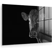MuchoWow - Glasschilderij - Foto op glas - Acrylglas - Dieren - Koe - Zwart - Wit - 30x20 cm - Woonkamer - Glasschilderij koe - Muurdecoratie glas - Glasschilderij zwart wit