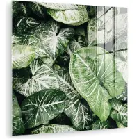 MuchoWow Glasschilderij 20x20 cm - Schilderij acrylglas - Bladeren - Planten - Natuur - Foto op glas - Muurdecoratie woonkamer - Wanddecoratie slaapkamer - Schilderijen