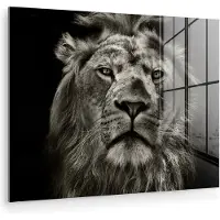 MuchoWow - Glasschilderij - Foto op glas - Wilde dieren - Leeuw - Zwart - Wit - Acrylglas - 40x30 cm - Schilderij glas - Glasschilderij leeuw - Glasschilderij dieren - Woonkamer