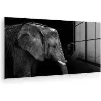 MuchoWow Glasschilderij - Foto op glas - Acrylglas - Olifant - Dieren - Wild - Zwart wit - Schilderij glas - 40x20 cm - Glasschilderij olifant - Wanddecoratie glas - Woondecoratie