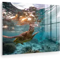MuchoWow Glasschilderij 40x30 cm - Schilderij acrylglas - Zee - Schildpad - Kleuren - Foto op glas - Muurdecoratie woonkamer - Wanddecoratie slaapkamer - Schilderijen