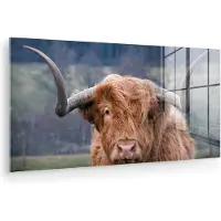 MuchoWow Glasschilderij 80x40 cm - Schilderij acrylglas - Schotse Hooglander - Koeienkop - Landschap - Natuur - Koe - Foto op glas - Muurdecoratie woonkamer - Wanddecoratie slaapkamer - Schilderijen