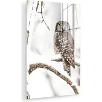 MuchoWow Glasschilderij 80x120 cm - Schilderij acrylglas - Uil - Sneeuw - Winter - Vogels - Portret - Foto op glas - Muurdecoratie woonkamer - Wanddecoratie slaapkamer - Schilderijen