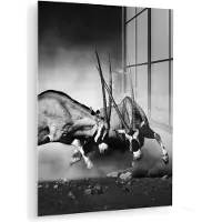 MuchoWow Glasschilderij - Foto op glas - Acrylglas - Wilde dieren - Antilope - Natuur - Zwart - Wit - 120x160 cm - Glasschilderij zwart wit - Muurdecoratie glas - Schilderij glas - Wanddecoratie dieren