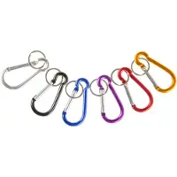 Duckiez Sleutelhanger Karabijnhaak Groot - 48 stuks