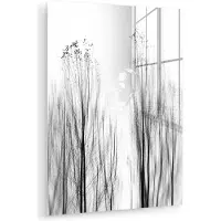 MuchoWow Glasschilderij 60x80 cm - Schilderij acrylglas - Bomen - Zwart wit - Vogels - Natuur - Foto op glas - Muurdecoratie woonkamer - Wanddecoratie slaapkamer - Schilderijen