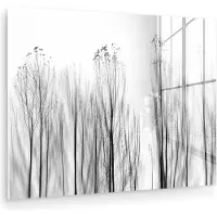 MuchoWow Glasschilderij 160x120 cm - Schilderij acrylglas - Bomen - Zwart wit - Vogels - Natuur - Foto op glas - Muurdecoratie woonkamer - Wanddecoratie slaapkamer - Schilderijen