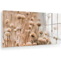 MuchoWow Glasschilderij 80x40 cm - Schilderij acrylglas - Droogbloemen - Beige - Bloemen - Natuur - Foto op glas - Muurdecoratie woonkamer - Wanddecoratie slaapkamer - Schilderijen