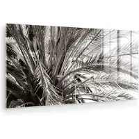 MuchoWow Glasschilderij 120x60 cm - Schilderij acrylglas - Palmboom - Tropisch - Zwart - Wit - Foto op glas - Muurdecoratie woonkamer - Wanddecoratie slaapkamer - Schilderijen