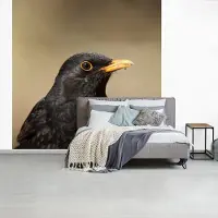 MuchoWow Fotobehang vinyl - Mannelijke merel met gele snavel breedte 240 cm x hoogte 240 cm - Foto print op behang (in 7 formaten beschikbaar)