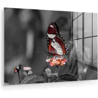 MuchoWow - Glasschilderij - Foto op glas - Acrylglas - Dieren - Vlinder - Bloemen - Natuur - Oranje - Muurdecoratie - 120x80 cm - Wanddecoratie glas - Glasschilderij vlinder
