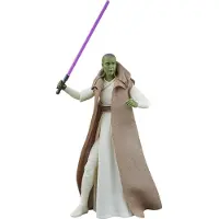 Hasbro The Black Series Jedi Master Vernestra Rwoh uit : The Acolyte - Actiefiguur - 15 cm