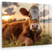 MuchoWow Glasschilderij 120x90 cm - Schilderij acrylglas - Koe - Dier - Weiland - Gras - Dieren - Natuur - Foto op glas - Muurdecoratie woonkamer - Wanddecoratie slaapkamer - Schilderijen