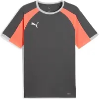 Puma Individualliga heren jerseys