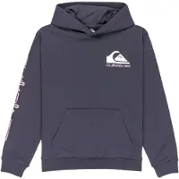 Quiksilver Omni Logo Hoodie Junior Maat: M