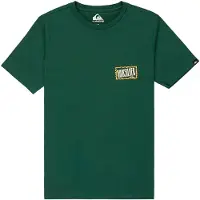 Quiksilver Ev Gotam Foam T-shirt Met Korte Mouwen Groen 16 Years Jongens