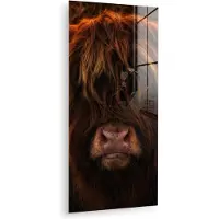 MuchoWow Glasschilderij 80x160 cm - Schilderij acrylglas - Schotse Hooglander - Koe - Portret - Dieren - Foto op glas - Muurdecoratie woonkamer - Wanddecoratie slaapkamer - Schilderijen