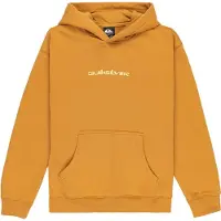 Quiksilver Salt Water Graphic Hoodie