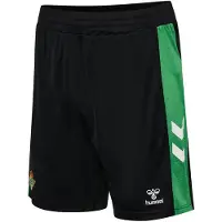 Hummel Real Betis 25/26 Home Shorts Groen XS Man