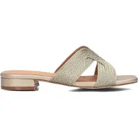 Ayana Dames Slippers 0677-1 - Goud - Maat 40