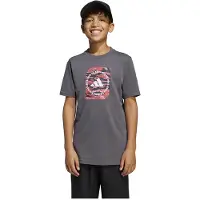 Adidas Camo Box T-shirt Met Korte Mouwen Grijs 11-12 Years Jongens