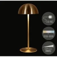 Anna's Collection Oplaadbare tafellamp USB goud 9,5x22cm goud Metaal Tafellamp