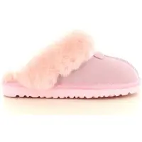 Hafjes Cozzia