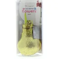 QFB Gardening Wax Amaryllis Glitterz Goud in Koker | Prachtige Wax Amaryllis voor in huis |