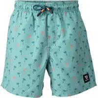 Brunotti Boardshorts 'Cester' | M | male