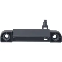 BLIC Portiergreep buitenkant 6010-03-0429410WP