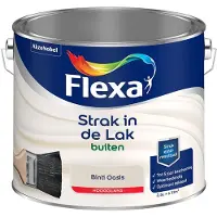 Flexa - Strak In De Lak Buitenlak Hoogglans - Binti Oasis - Mengverf - 2,5 L