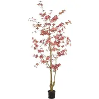 Emerald eternal green B.V. Oost-ind.waterkers in pot l75cm bordeaux