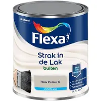 Flexa - Strak In De Lak Buitenlak Zijdeglans - Flow Colour 6 - Mengverf - 1 L