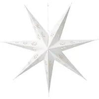 Intratuin Kerstster Wit Met Verlichting D 60 H 10 Cm