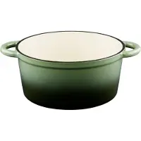 Alpina Braadpan/stoofpan - gietijzer/emaille - 3,8 liter - D24 cm - groen - voor stoofpotten/stoofvlees