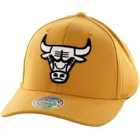 Mitchell & ness Chicago Bulls 110 Heren Cap