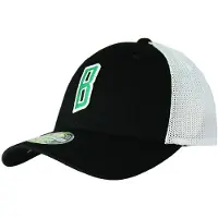 Mitchell & ness Boston Celtics heren pet