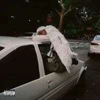 Domino Negro swan