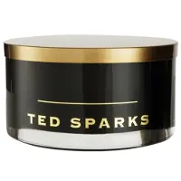 Ted Sparks Outdoor Candle Geurkaars 600 gr