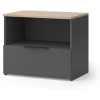 Vicco Wido Sideboard – 60 x 50 cm met klep Antraciet/Sonoma