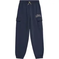 Levi's Broek beige / navy