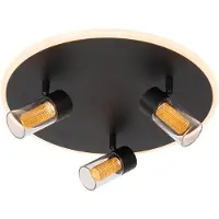 Lucide EVERINA - Plafonnière - Ø 40 cm - LED Dimb. - CCT - 2200K/6500K - Zwart | Essential