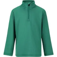 ZigZag Shirt 'Irwin' groen