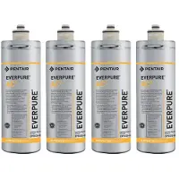 Everpure AC2 Waterfilter EV9605-80