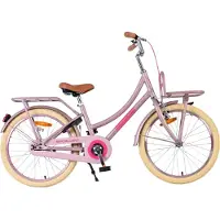 Volare Excellent Kinderfiets - Meisjes - 20 inch - Mat Roze