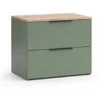 Vicco Wido Dressoir – 60 x 50 cm met 2 laden Groen